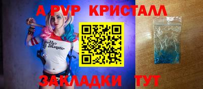 прущие грибы Камышлов
