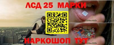 прущие грибы Камышлов