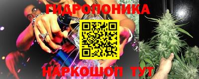 спиды Канаш