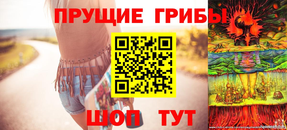 купить   Вход с VPN  Псилоцибиновые грибы Psilocybine cubensis  Кропоткин  Псилоцибиновые грибы Psilocybine cubensis 